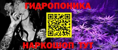 дурь Новодвинск