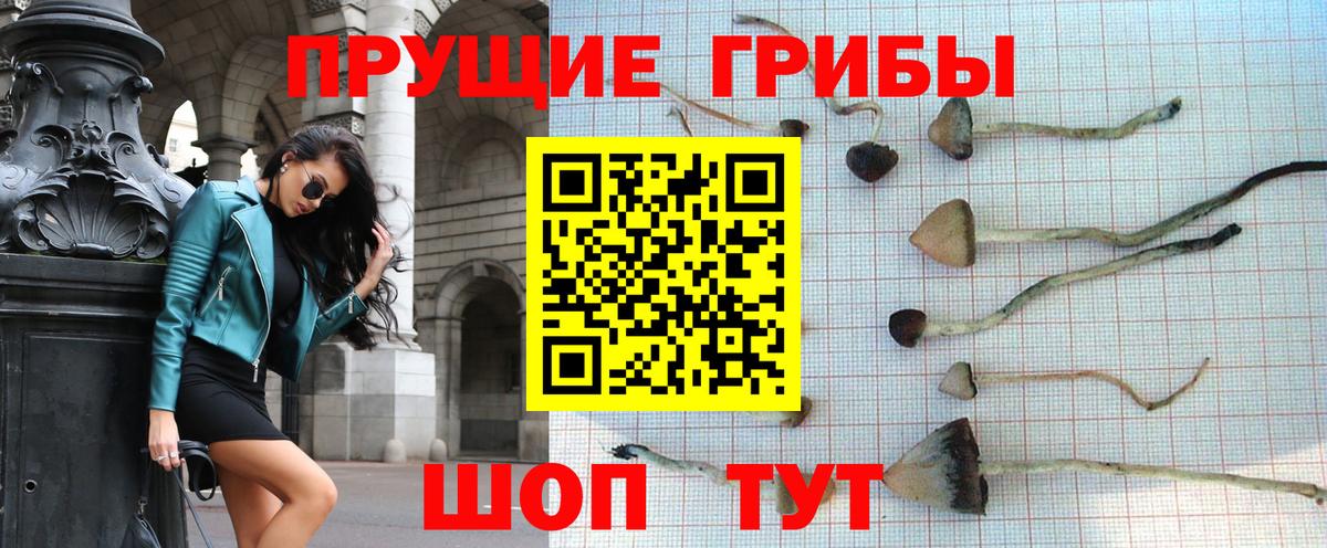 Пенза  Галлюциногенные грибы мицелий  Вход с VPN  Псилоцибиновые грибы MAGIC MUSHROOMS 